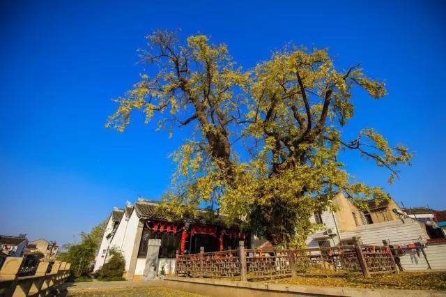 “火狐电竞官网”药流最佳时间是什么时候?(图3) 火狐电竞官网