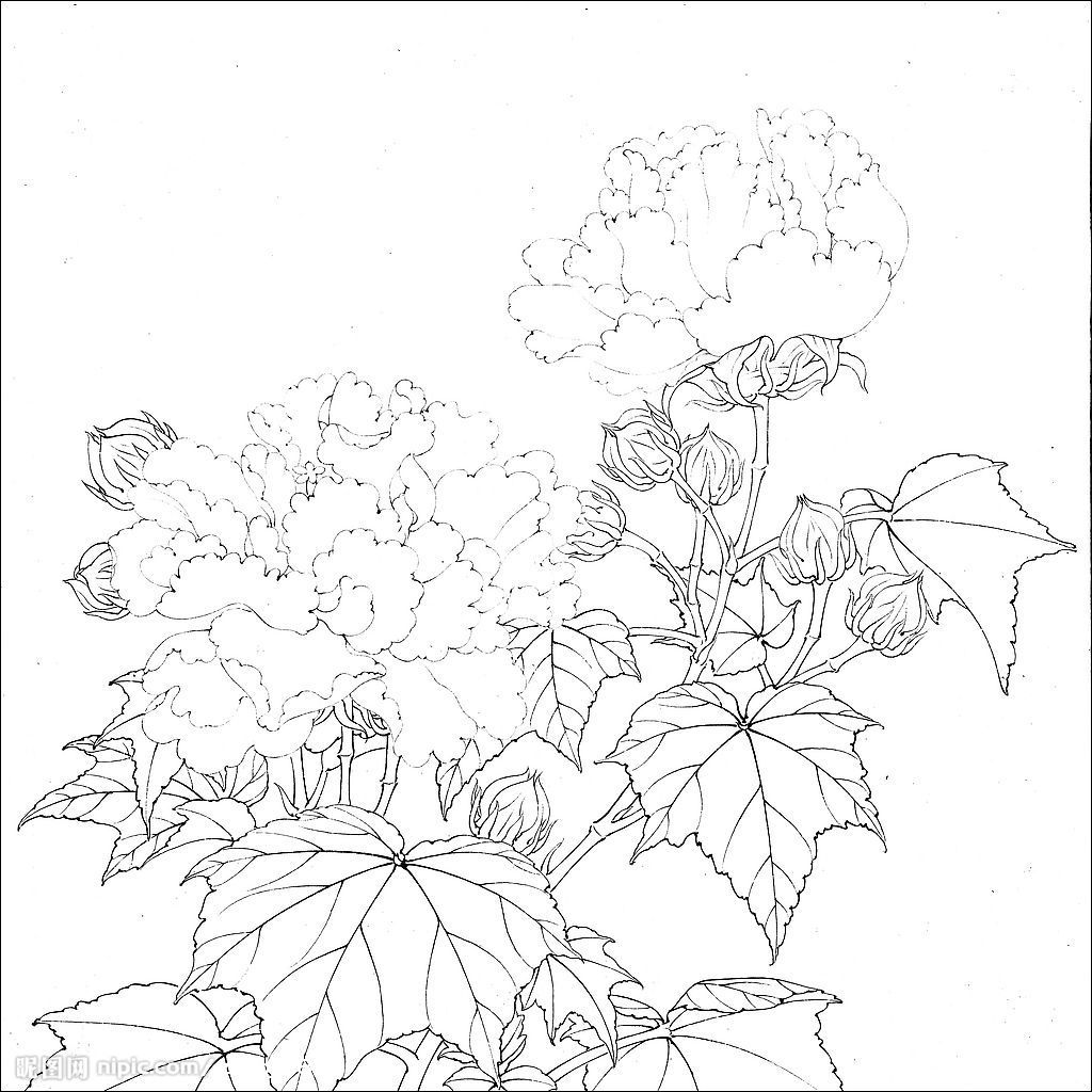 ‘火狐电竞’治疗阴道炎有哪些误区呢(图2) 火狐电竞平台